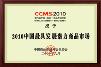2010中國(guó)最具發(fā)展?jié)摿ι唐肥袌?chǎng)
